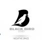 Negative space Black Bird Logo